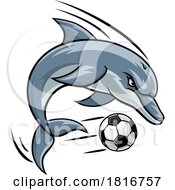 Dolphin Animal Soccer Football Sports Team Mascot