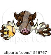 Boar Wild Hog Razorback Warthog Softball Mascot by AtStockIllustration