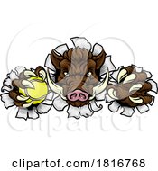 Poster, Art Print Of Boar Wild Hog Razorback Warthog Pig Tennis Mascot