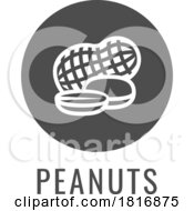 Peanut Nut Food Allergy Icon Concept