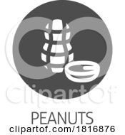 Peanut Nut Food Allergy Icon Concept