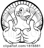 Turkey Thanksgiving Cartoon Bird Christmas Mascot