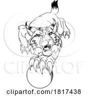 Wildcat Bobcat Cricket Ball Animal Team Mascot