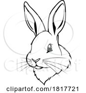 Drawing Of A Rabbit Face In Black And White