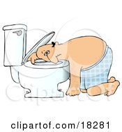 Sick White Man Resting His Head On The Toilet Bowl After Puking