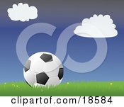 Clipart Illustration Of A Black And White Soccer Ball Resting In Grass With Small Yellow Flowers On A Soccer Field