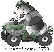 Cool Border Collie Wearing A Vest And Driving A Green Atv