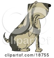 Poster, Art Print Of Big Bloodhound Dog With A Marble Patterned Coat