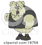 Clipart Illustration Of A Tough Bulldog Wearing A Vest And Looking Angrily At The Viewer