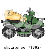 Poster, Art Print Of Lazy Orange Cat Resting On The Seat Of A Green Quad