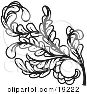 Clipart Illustration Of A Curly Branch Of Leaves And Stems