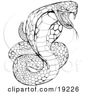 Clipart Illustration Of A Striking Venomous Cobra Snake by AtStockIllustration #COLLC19226-0021