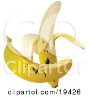 Clipart Illustration Of A Whole Ripe And Browning Banana In Front Of A Partially Peeled Banana Fruit