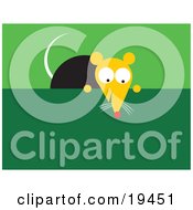 Clipart Illustration Of A Hungry Little Mouse Peeking Over A Green Ledge To Eyeball Food Left Out In A Kitchen by Venki Art