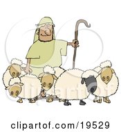Man Holding A Staff And Standing With His Sheep