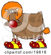 Goofy Brown Cow Dressed As A Clown Wearing Big Red And Yellow Shoes A Red Nose And An Orange Wig