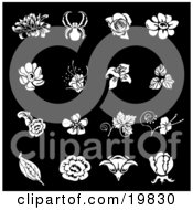 Collection Of White Iris Rose Daisy And Tulip Flower Icons Over A Black Background