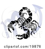 Poster, Art Print Of Silhouetted Scorpion Over A Blue Scorpio Astrological Sign Of The Zodiac