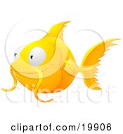 Cute Orange Goldfish With Whiskers Smiling And Swimming