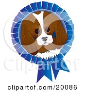 Adorable King Charles Spaniel Dog Face On A Blue Prize Ribbon For A Dog Show