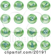 Poster, Art Print Of Collection Of Green Icons Of Medicine Science And Biology