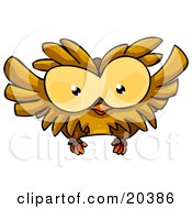 Poster, Art Print Of Cute Big Eyed Brown Owl Flying