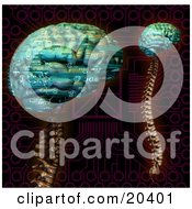 Clipart Illustration Of Two Digital Brains With Spines And Circuit Patterns