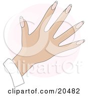 Poster, Art Print Of Womans Hand With Rounded Gel Acrylic French Tip Fingernails After A Manicure Over A Pink Circle