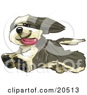 Clipart Illustration Of A Happy Bearded Collie Dog Running Freely His Tongue Hanging Out After Leaping Over The Fence In His Yard by Tonis Pan