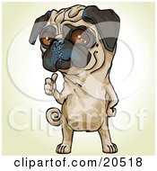 Clipart Illustration Of A Bossy Pug Dog Signaling Over His Shoulder For His Owner To Pick Up His Poop by Tonis Pan