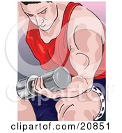 Poster, Art Print Of Muscular Caucasian Man Seated On A Bench And Doing Bicep Curls With A Dumbell Weight