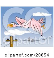 Two Pigeons Perched On A Telephone Wire Watching A Pink Bird Fly High In The Sky