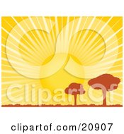 Clipart Illustration Of Two Silhouetted Meadow Trees Under A Bright Sun With Bright Rays Of Light by elaineitalia