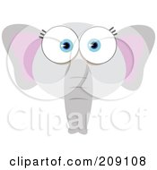Poster, Art Print Of Big Eyed Elephant Face