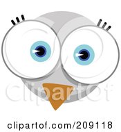 Poster, Art Print Of Big Eyed Bird Face