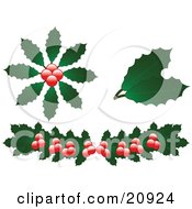 Collection Of Christmas Holly Leaves And Berries Over A White Background by elaineitalia