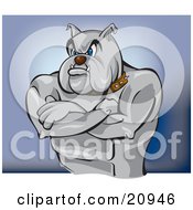 Clipart Picture Of A Tough Bulldog Bouncer Or Guard Standing With His Muscular Arms Crossed