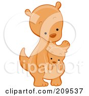 Poster, Art Print Of Cute Kangaroo Looking Down At A Joey