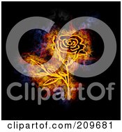 Royalty Free RF Clipart Illustration Of A Blazing Rose