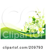 Plumeria Flower Background With Green Waves Over White