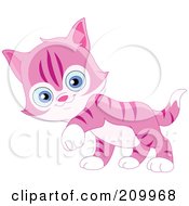 Poster, Art Print Of Cute Pink Striped Kitten Walking