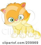 Poster, Art Print Of Cute Green Eyed Orange Kitten Sitting
