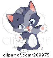 Poster, Art Print Of Happy Gray Striped Kitten Holding His Arms Out For A Hug