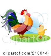 Poster, Art Print Of Little Chick Talking To A Rooster