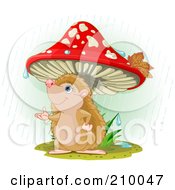 Poster, Art Print Of Cute Hedgehog Catching A Raindrop Under A Mushroom