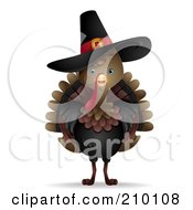 Cute Thanksgiving Turkey Bird Wearing A Pilgrim Hat