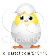 Poster, Art Print Of Cute Chick Peeping Out Of An Egg