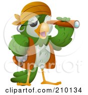 Cute Pirate Parrot Viewing Through A Scope