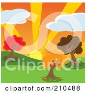 Poster, Art Print Of Sunset Behind Trees With Autumn Foliage In A Hilly Park