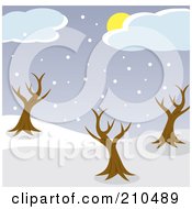 Sun Hidden Behind Clouds Above Snow And Bare Trees In A Park